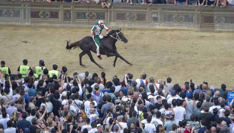 Palio di Siena, Tittia corre per la storia: vuole il quarto "cappotto" e "scuffiare" il Nicchio. Ma occhio a Lupa e l'Aquila