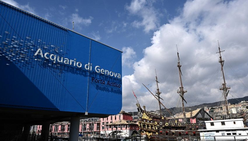 Visita all'Acquario di Genova: tante offerte per tutti