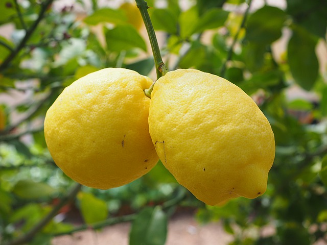 Tutti gli utilizzi di bicarbonato e limone come rimedio naturale