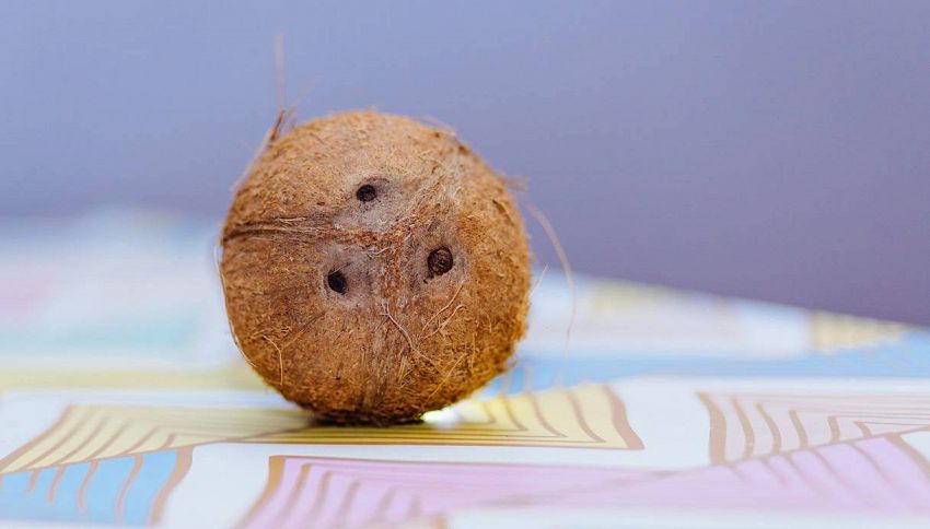 Come aprire una noce di cocco in maniera semplice