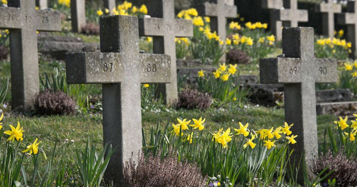 Frasi Per Funerale Esprimere Cordoglio Con Garbo Supereva