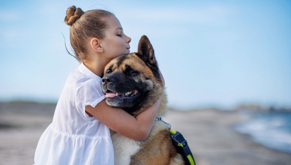 Ecco perché si dice: “Fa un freddo cane”