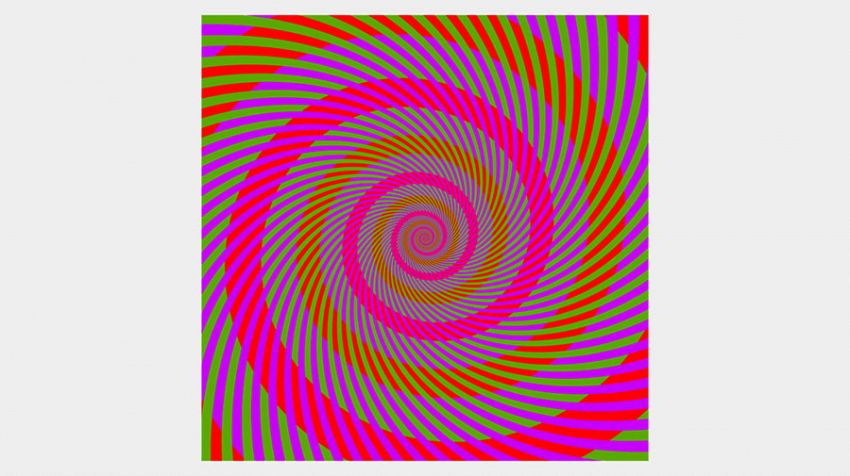 Quanti colori ci sono nelle spirali? Il quiz che fa impazzire la rete