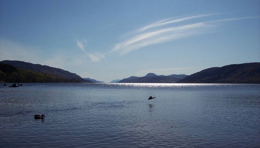 Nuova foto del mostro di Loch Ness, per 3 metri fuori dall'acqua