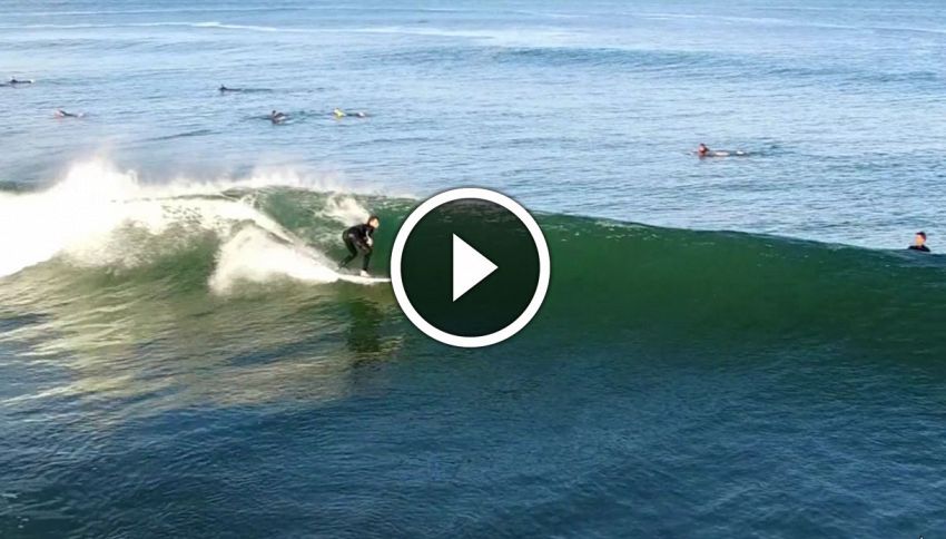Lo spettacolare video dei delfini che nuotano tra i surfisti