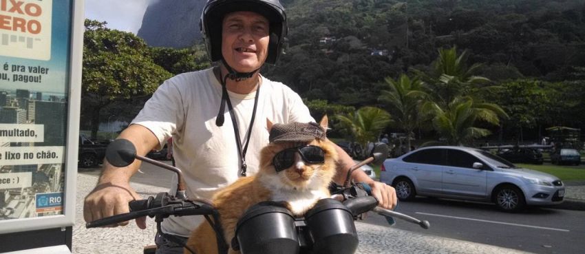 Il gatto motociclista, come portare Garfield in giro con la moto