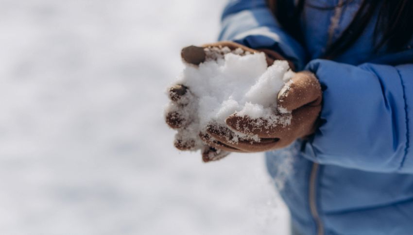 Sai la differenza tra pioggia e neve nel ciclo dell'acqua?