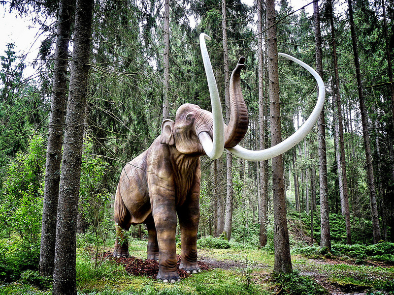 Gli Scienziati Vogliono Riportare In Vita I Dinosauri