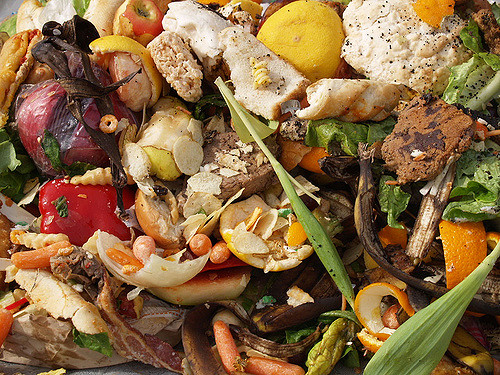 Il freeganesimo è di moda: come mangiare cibo recuperato dalla spazzatura