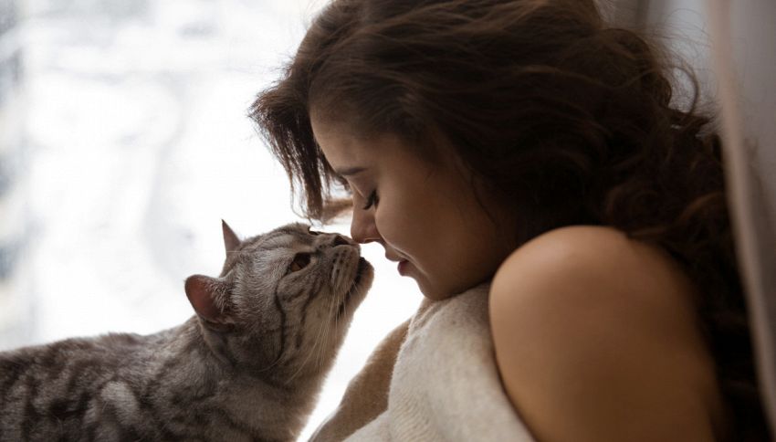 Baciare i gatti uccide, lo dice la scienza