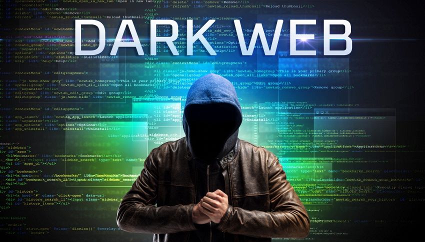Volete sapere cosa c'è davvero nel dark web, il lato oscuro di Internet? Solo spazzatura