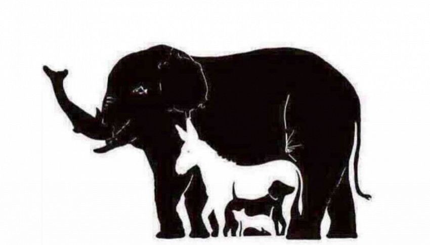Quanti animali ci sono in questa immagine? La risposta è difficile!
