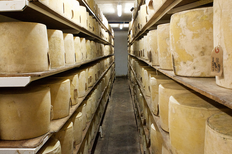 Attenzione: questo è il formaggio più pericoloso del mondo, fatto in Sardegna