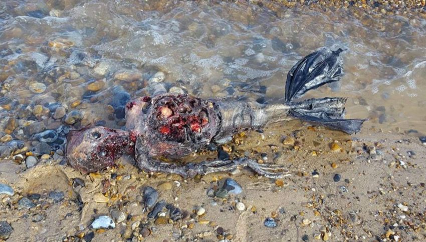 Le sirene esistono: trovata una morta sulla spiaggia di Great Yarmuth