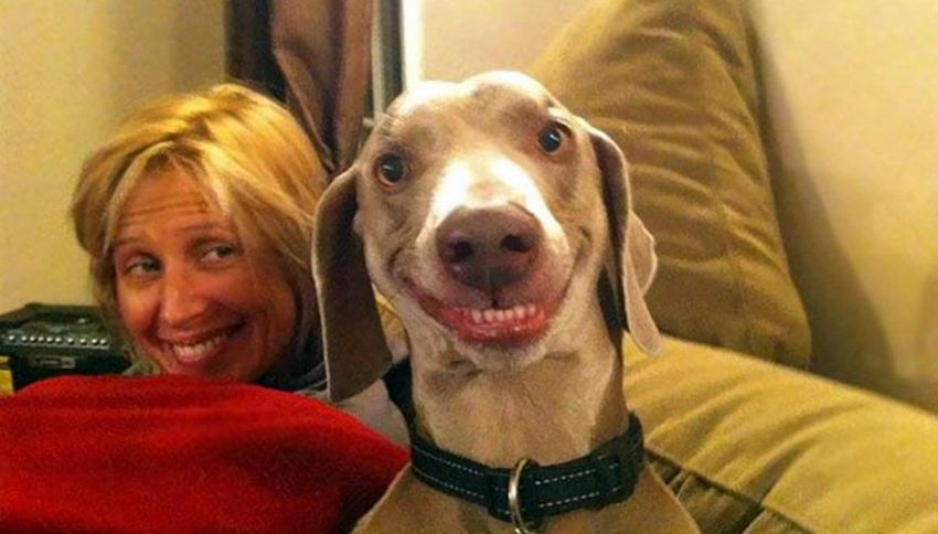 Sorridi! Quando i nostri animali sono (davvero) poco fotogenici