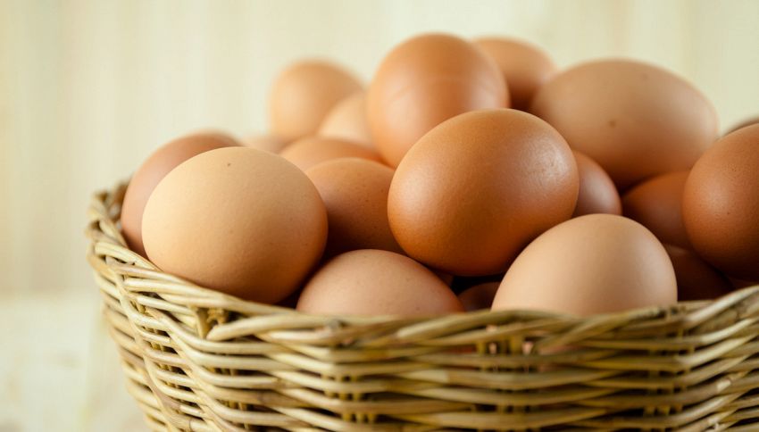 Dalle uova alla carne congelata: cosa non cuocere nel microonde