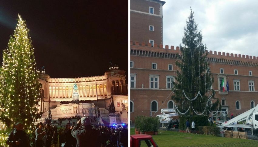 Albero Di Natale Roma.L Albero Di Roma Sul Daily Mail Il Piu Brutto Del Mondo Supereva