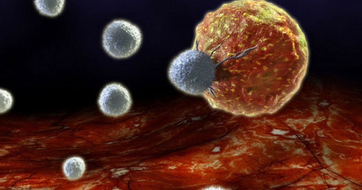 Tumore E Cancro Sono La Stessa Cosa