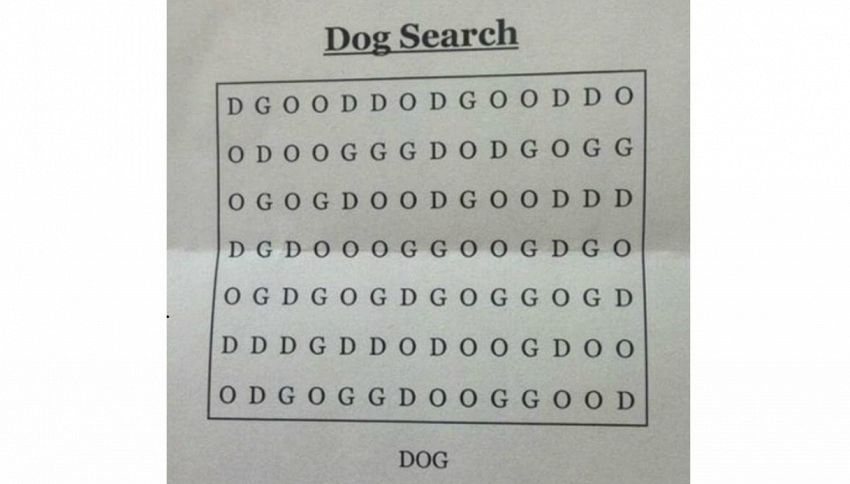 E' il quiz del momento: dove è nascosto il cane?