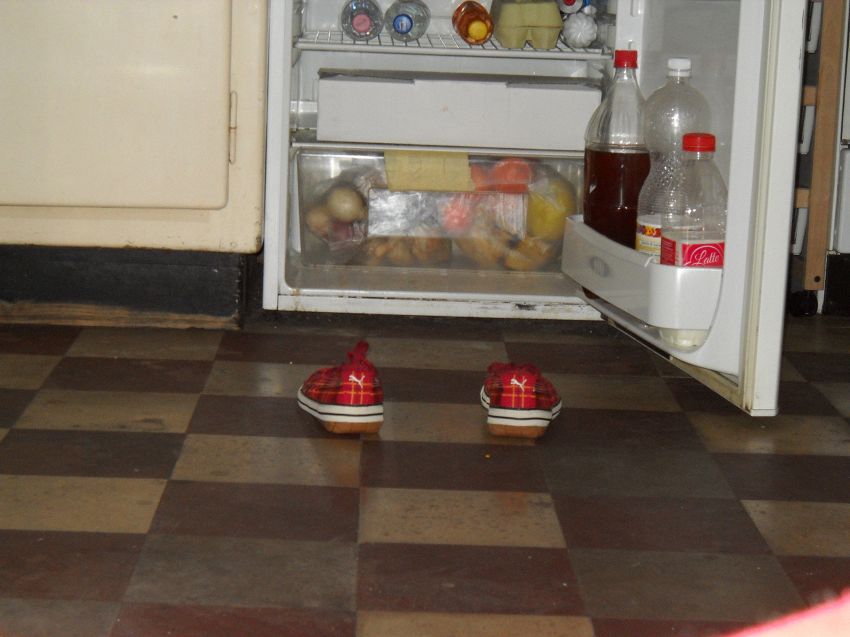 La durata di alcuni cibi nel frigorifero: succhi, sughi, formaggi, maionese e tanto altro
