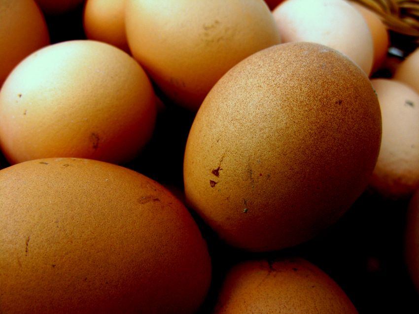 Come fare un uovo sodo