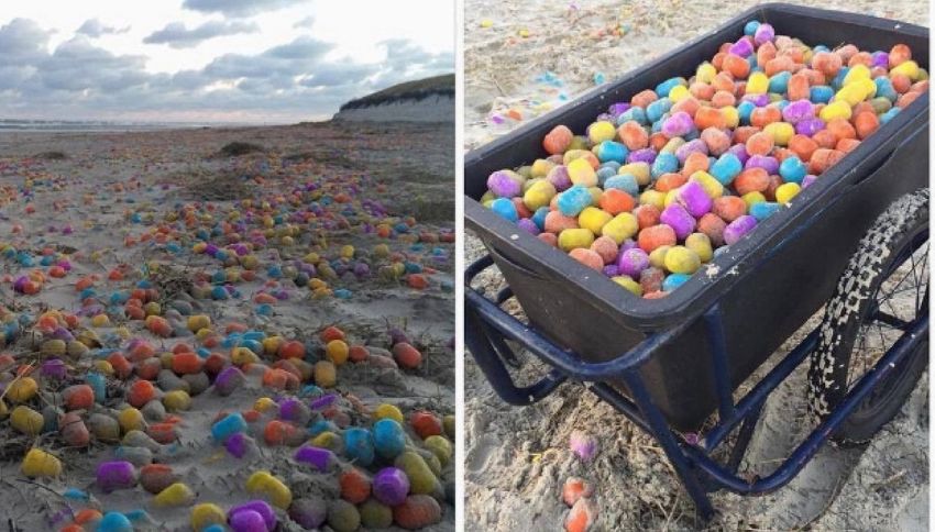 Invasione di ovetti Kinder su una spiaggia della Germania