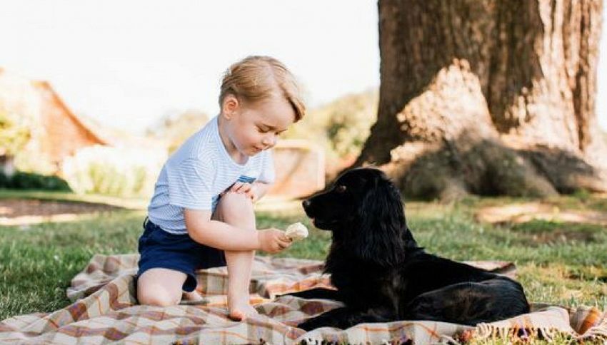 Perché Baby George porta sempre i pantaloncini