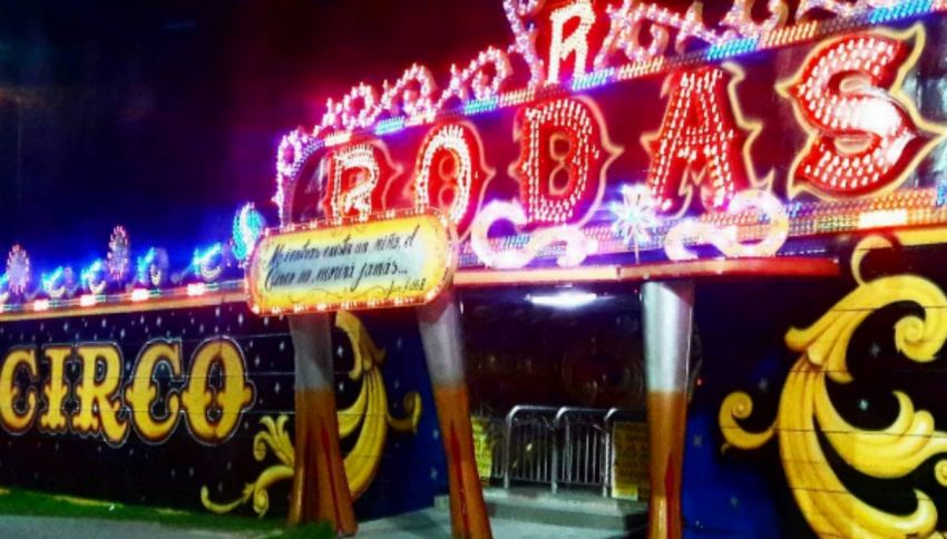Madrid dice addio agli animali selvatici al circo