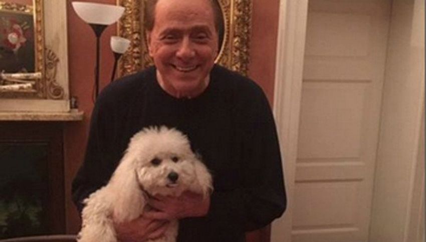 Non solo Dudù: sapevate che Berlusconi ora ha più di 20 cani?