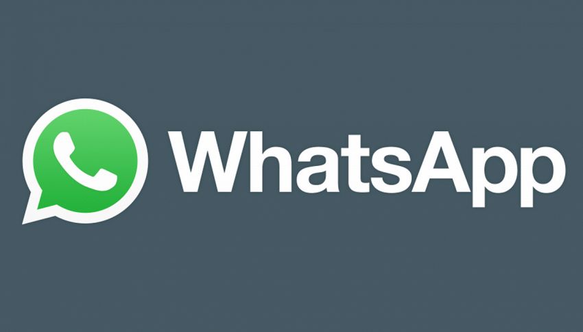 WhatsApp: arriva la novità 'anti-tradimento'