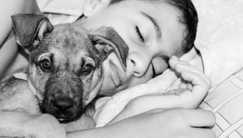 Dormire con il cane 'migliora la salute' ma solo a questa condizione