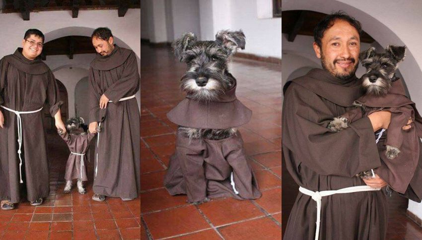 Fra' Baffo, l'irresistibile cane randagio adottato dal monastero
