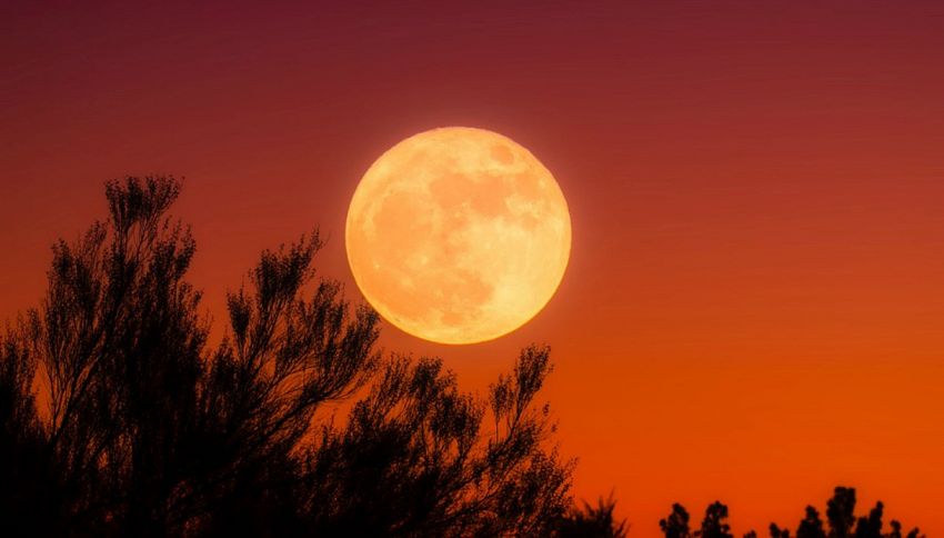 La Luna piena ha influenza su corpo e psiche dell'uomo