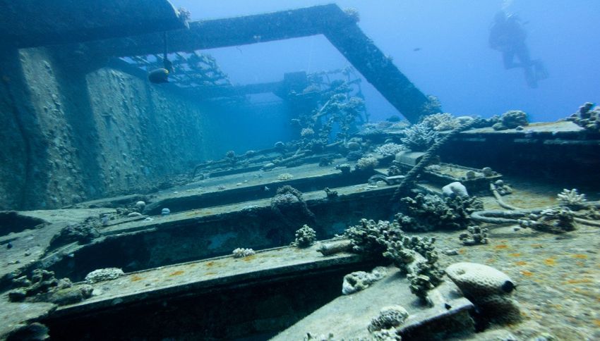 Ecco che aspetto ha il Titanic oggi, a 3810 metri nell’Atlantico