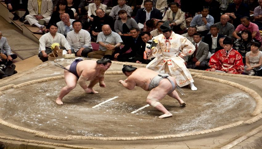 Perchè i lottatori di sumo sono così pesanti?
