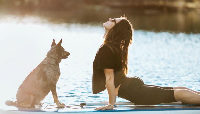 Arriva il Doga, lo yoga da fare con il cane