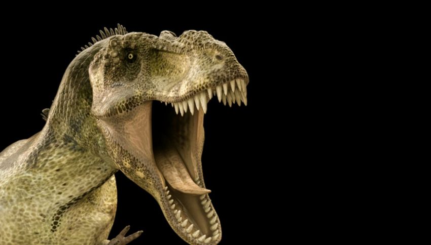 Razana, il temibile coccodrillo con i denti del T-Rex