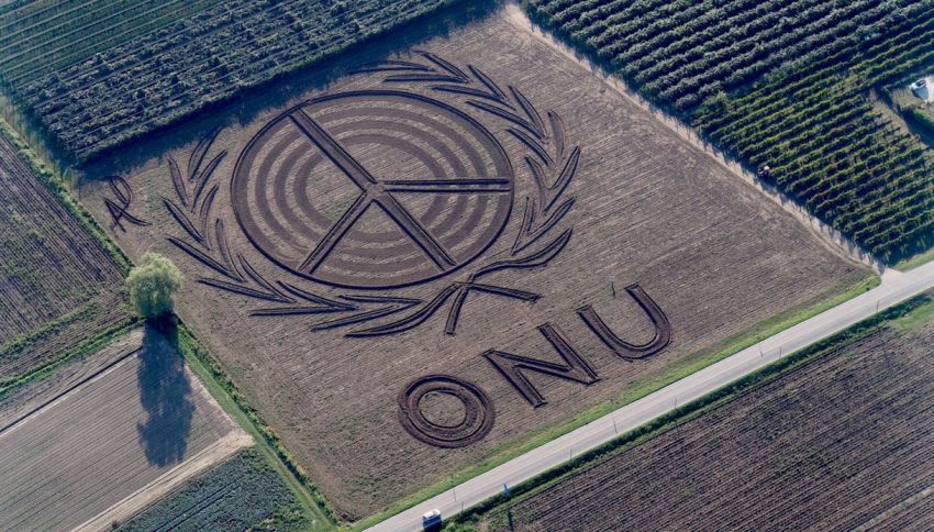 Nel campo di grano c'è la scritta gigante "ONU", che significa?
