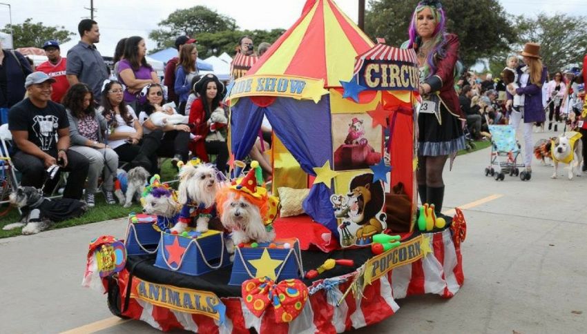 A Los Angeles la festa di Halloween per cani più folle di sempre
