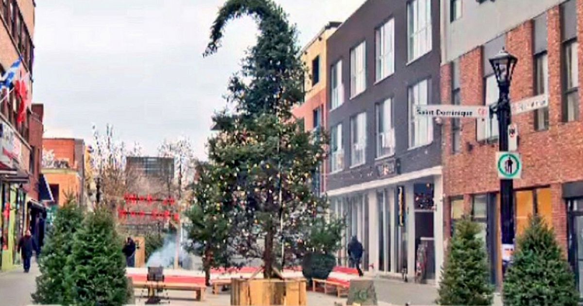 Albero Di Natale Più Alto Del Mondo Ecco l'albero di Natale più brutto al mondo
