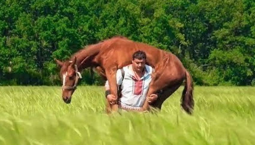 L'uomo più forte del mondo: si carica un cavallo sulle spalle