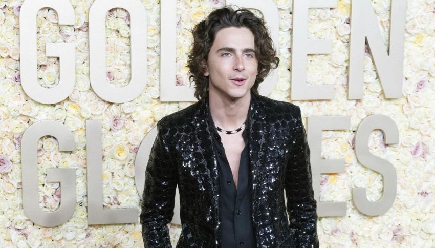 Chi è Marc Chalamet, padre di Thimotée Chalamet