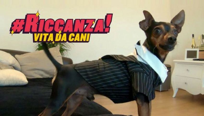 Chi sono i protagonisti di "Riccanza - Vita da cani" su MTV