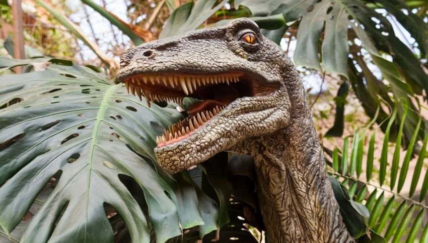 È stato svelato un mistero sul DNA dei dinosauri