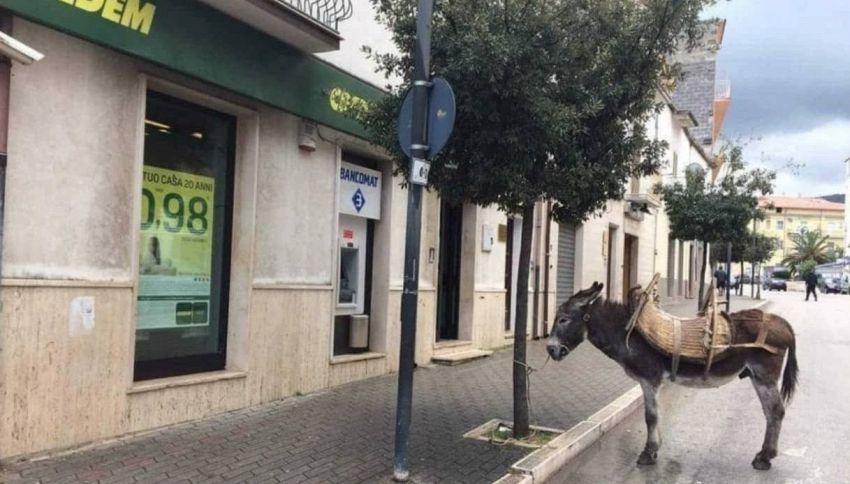 Il tizio che parcheggia l'asino davanti alla banca batte tutti