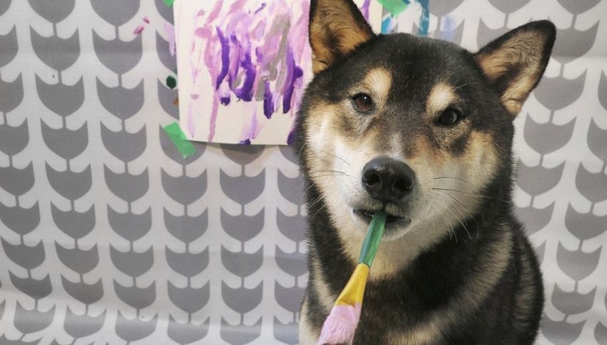 Altro che Picasso: i disegni di questo cane valgono 5mila $