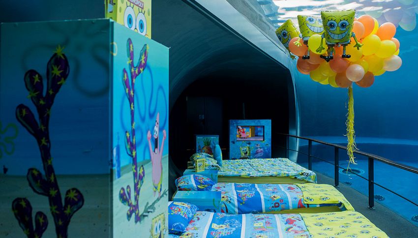Puoi dormire con delfini e squali: l'incredibile camera da letto