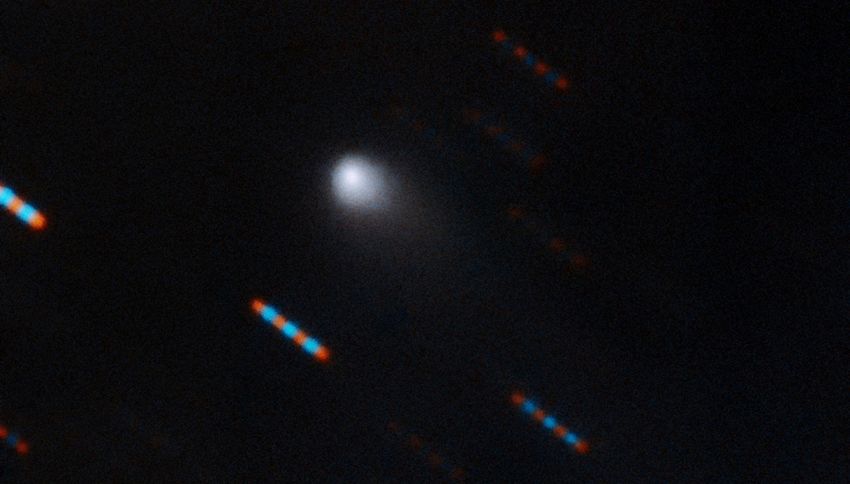 Oggetto misterioso da un altro sistema solare: la foto ufficiale