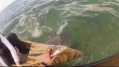 Panico in acqua: squalo aggredisce pescatori