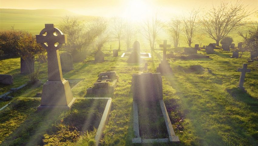 C'è vita dopo la morte? La scienza dice di sì
